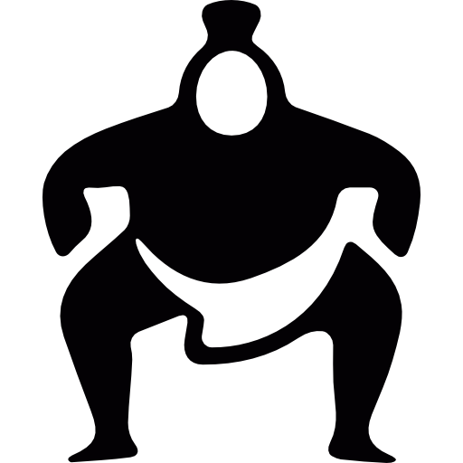 Sumo fighter